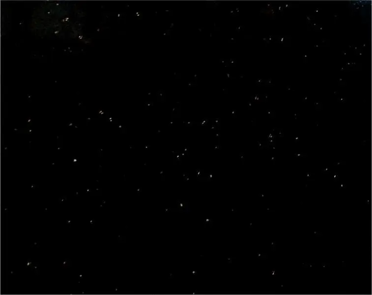 Black Galaxy - Gold
