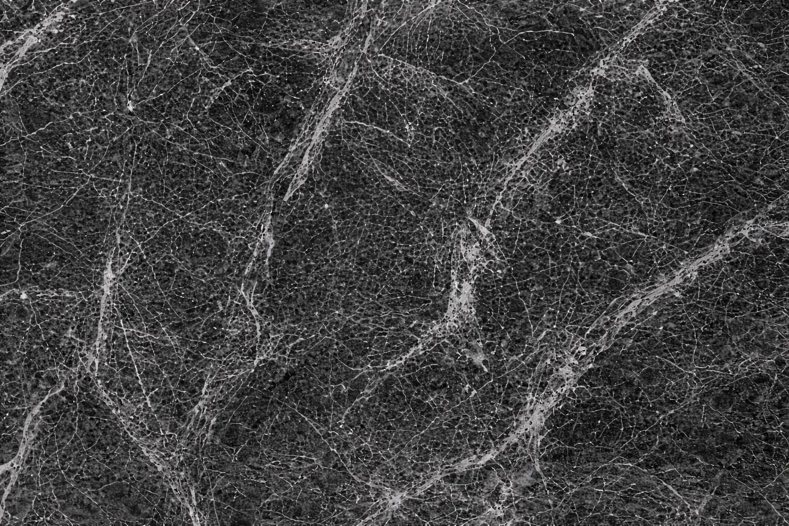 Dinisaint Dark Grey